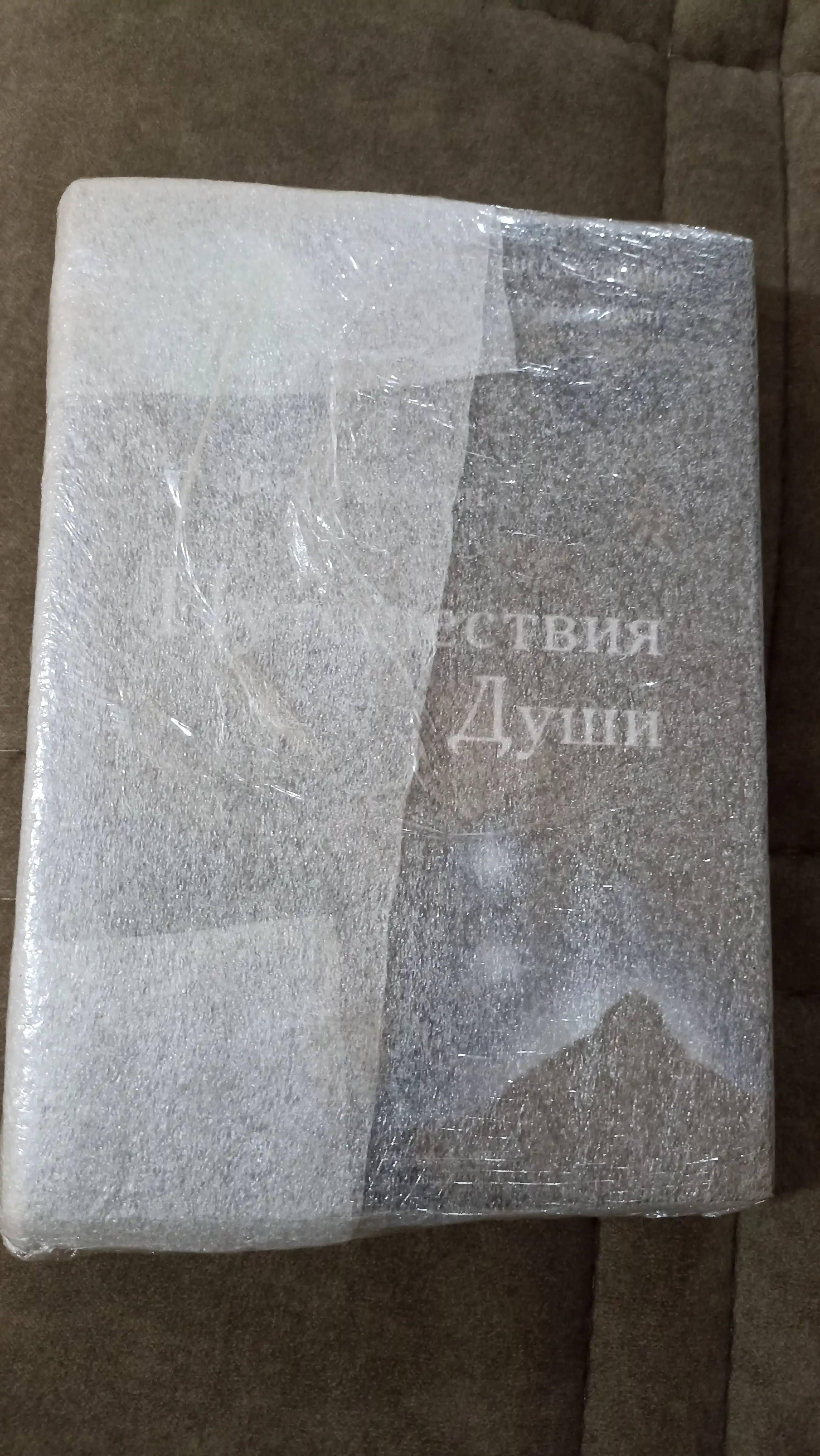 Puteshestviia dushi, Michael N`iuton