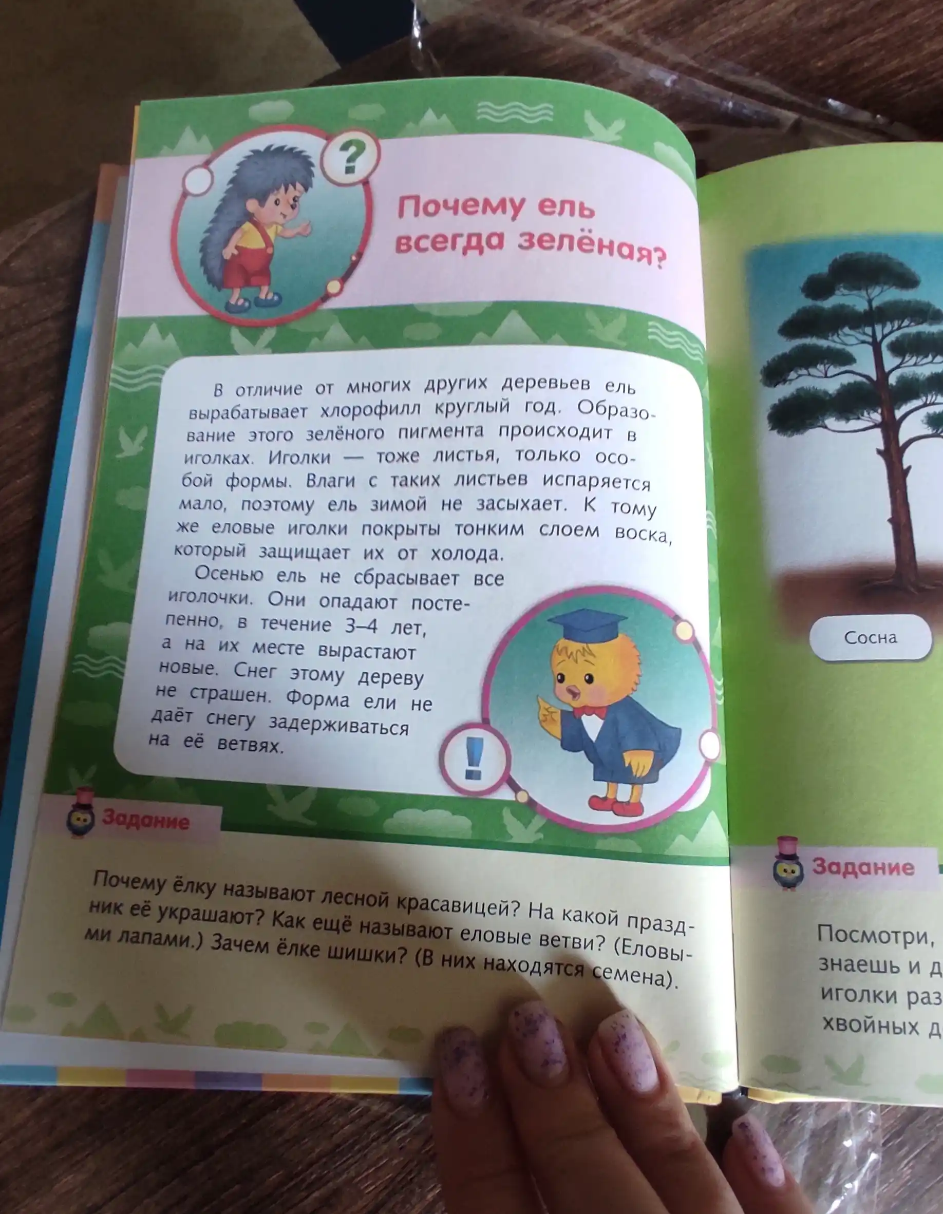 Книжка Почемучка. Малышам о природе, А5 формат, 16 листов