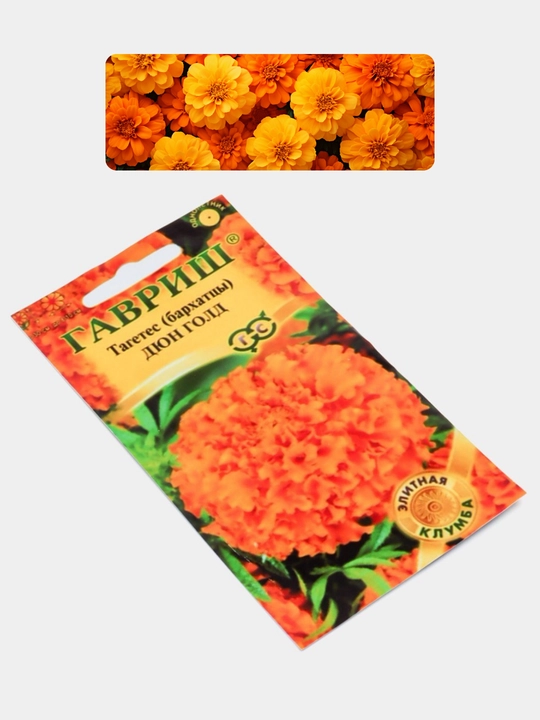 Gul urug'lari Coreopsis, Morning Glory, Moychechak, Aster, Verbena, chinnigullar, Dahlia