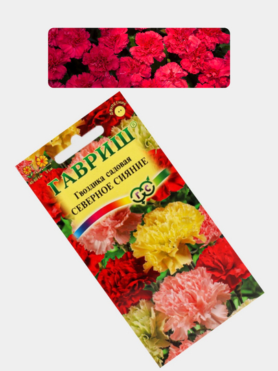 Gul urug'lari Coreopsis, Morning Glory, Moychechak, Aster, Verbena, chinnigullar, Dahlia