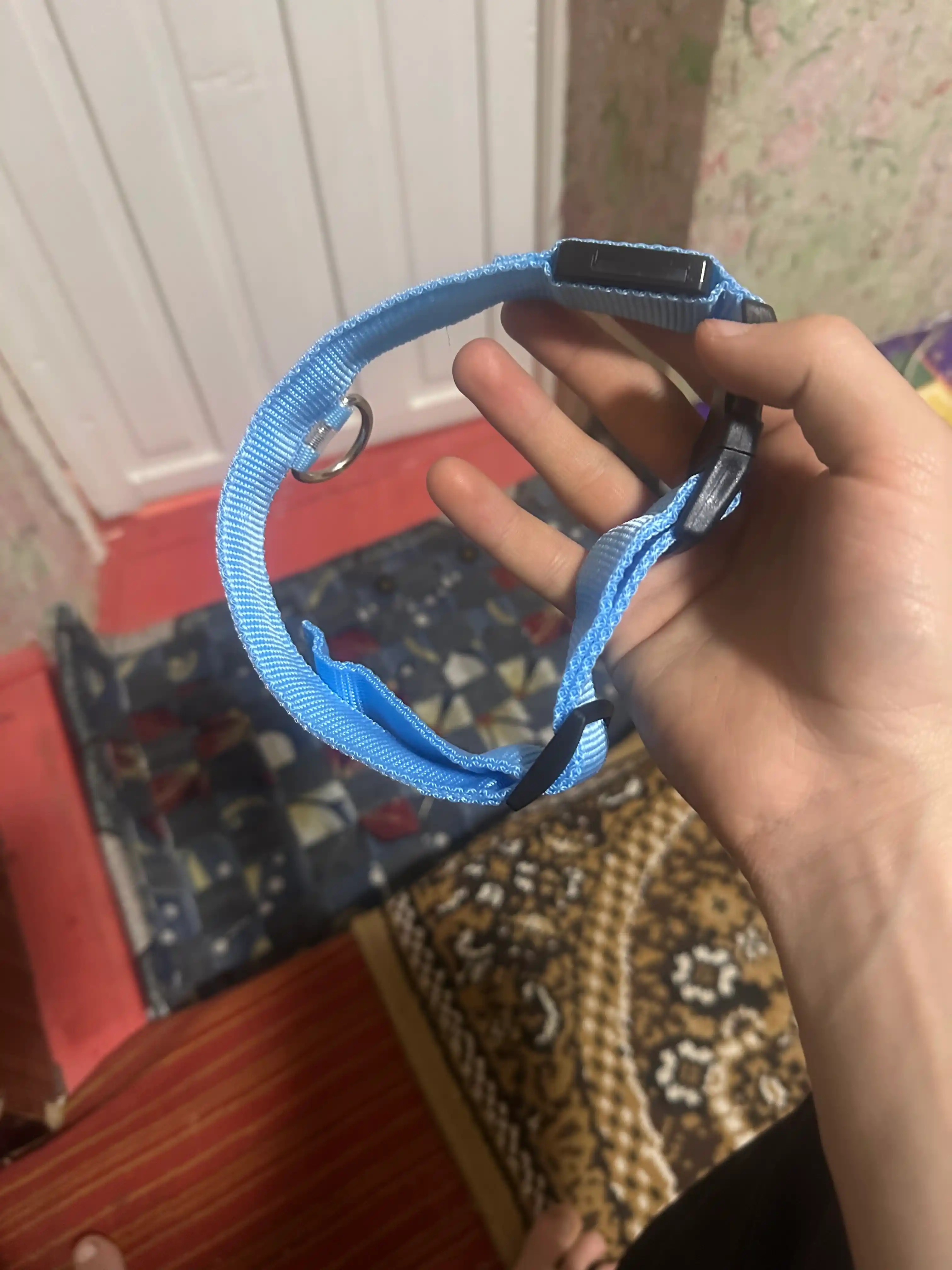Itlar va mushuklar uchun yonuvchi yoqa