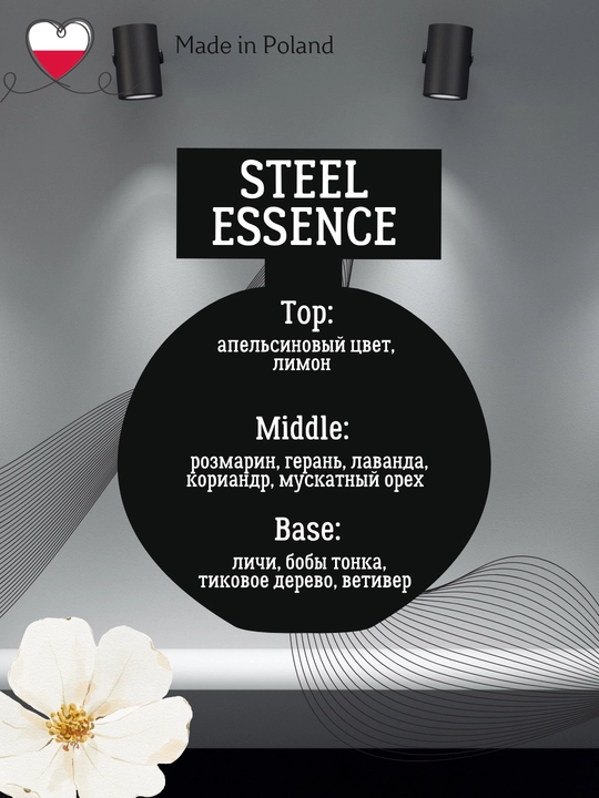 Erkaklar xushbo'ylangan suv STEEL ESSENCE EDT, 100 ml