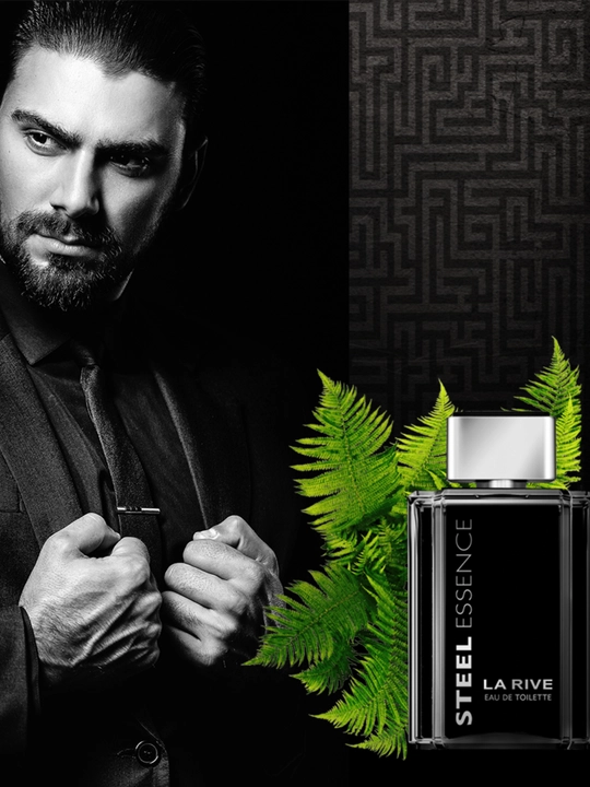Erkaklar xushbo'ylangan suv STEEL ESSENCE EDT, 100 ml