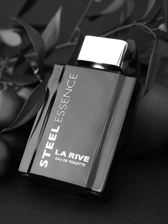 Erkaklar xushbo'ylangan suv STEEL ESSENCE EDT, 100 ml