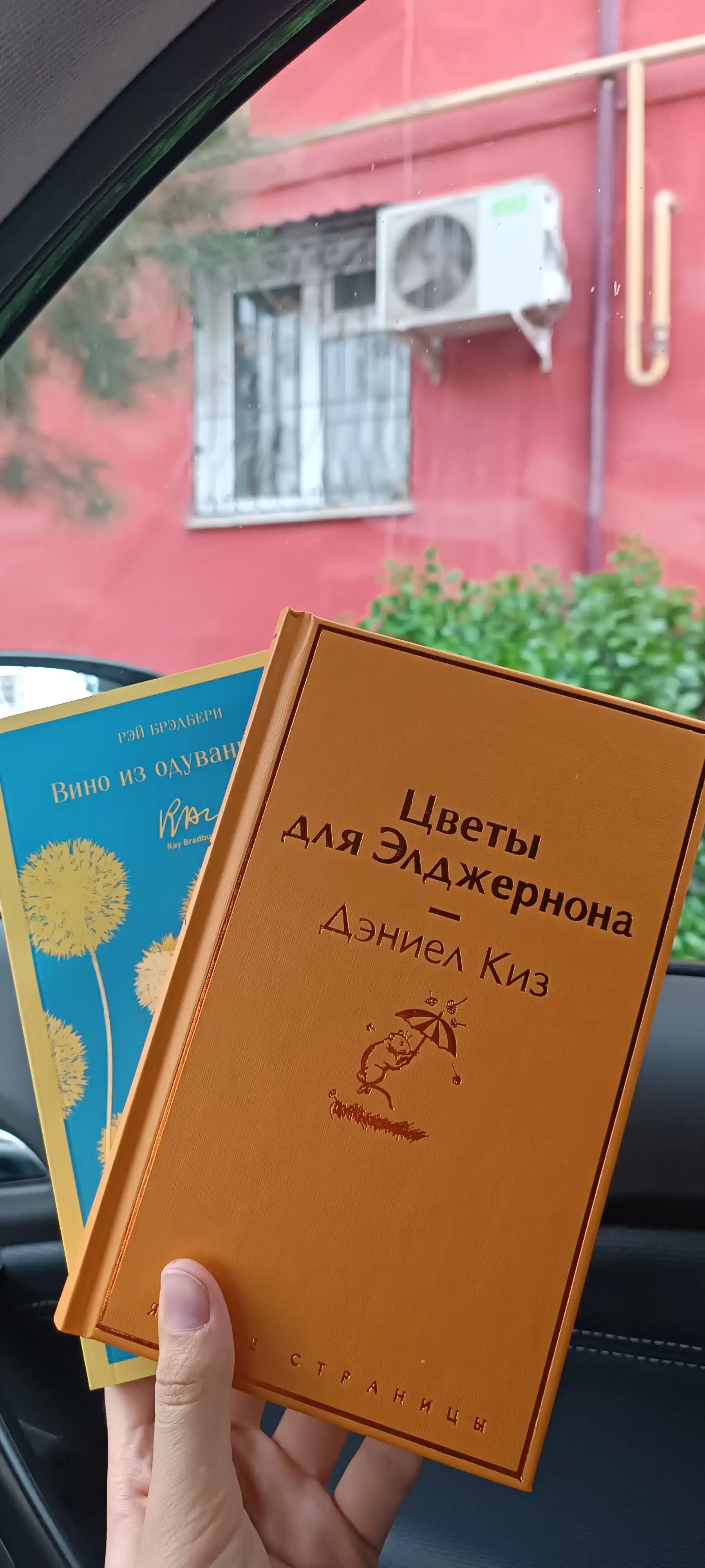 Tsvety dlya Eldzhernona, Deniyel Kiz