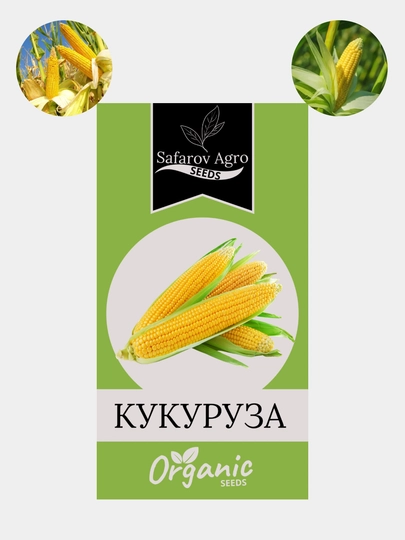 Семена кукурузы. Семена сладкой гибридной кукурузы — СЕМЕНА1-КУКУРУЗ-АЛЫЙ