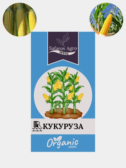 Семена кукурузы. Семена сладкой гибридной кукурузы — СЕМЕНА1-КУКУРУЗ-ЖЕЛТ