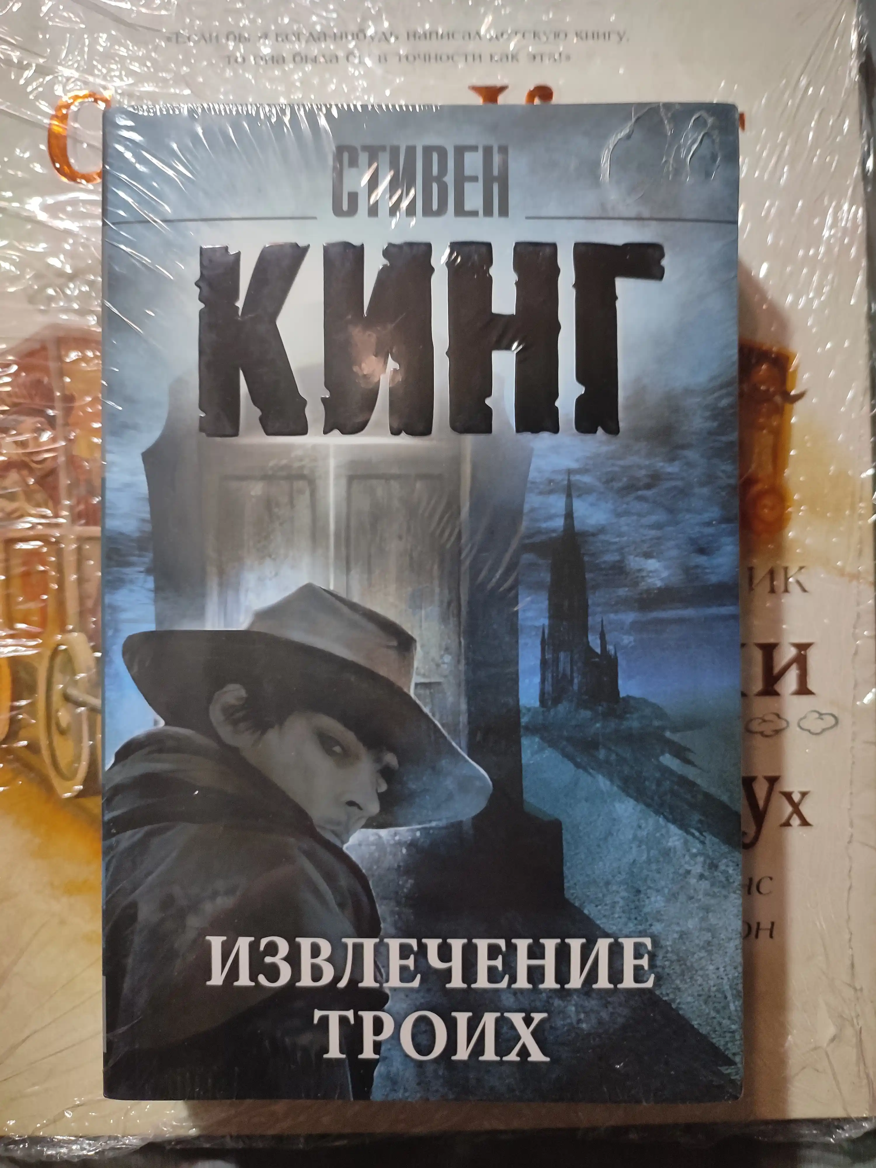 Izvlecheniye troikh iz tsikla Temnaya Bashnya, Stiven King