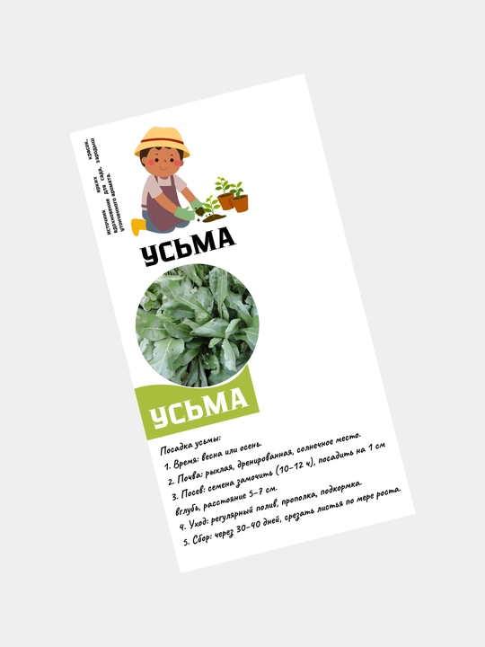 Семена усьмы