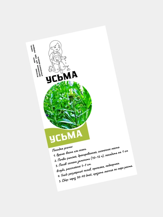 Семена усьмы