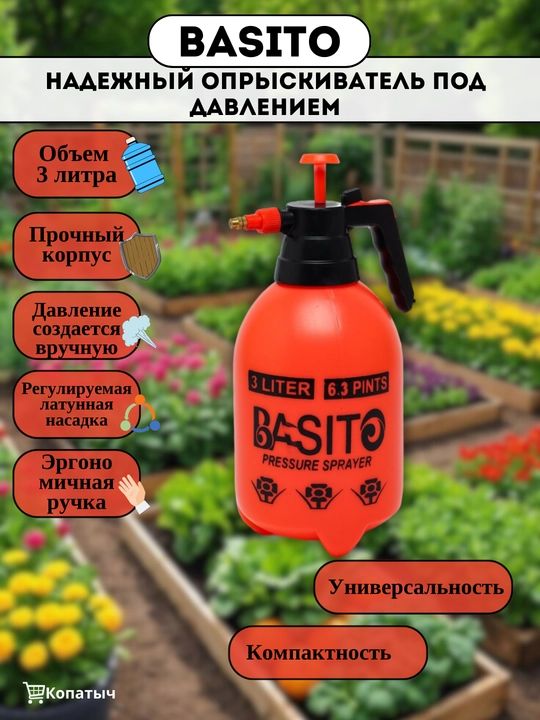 Basito purkagich - 