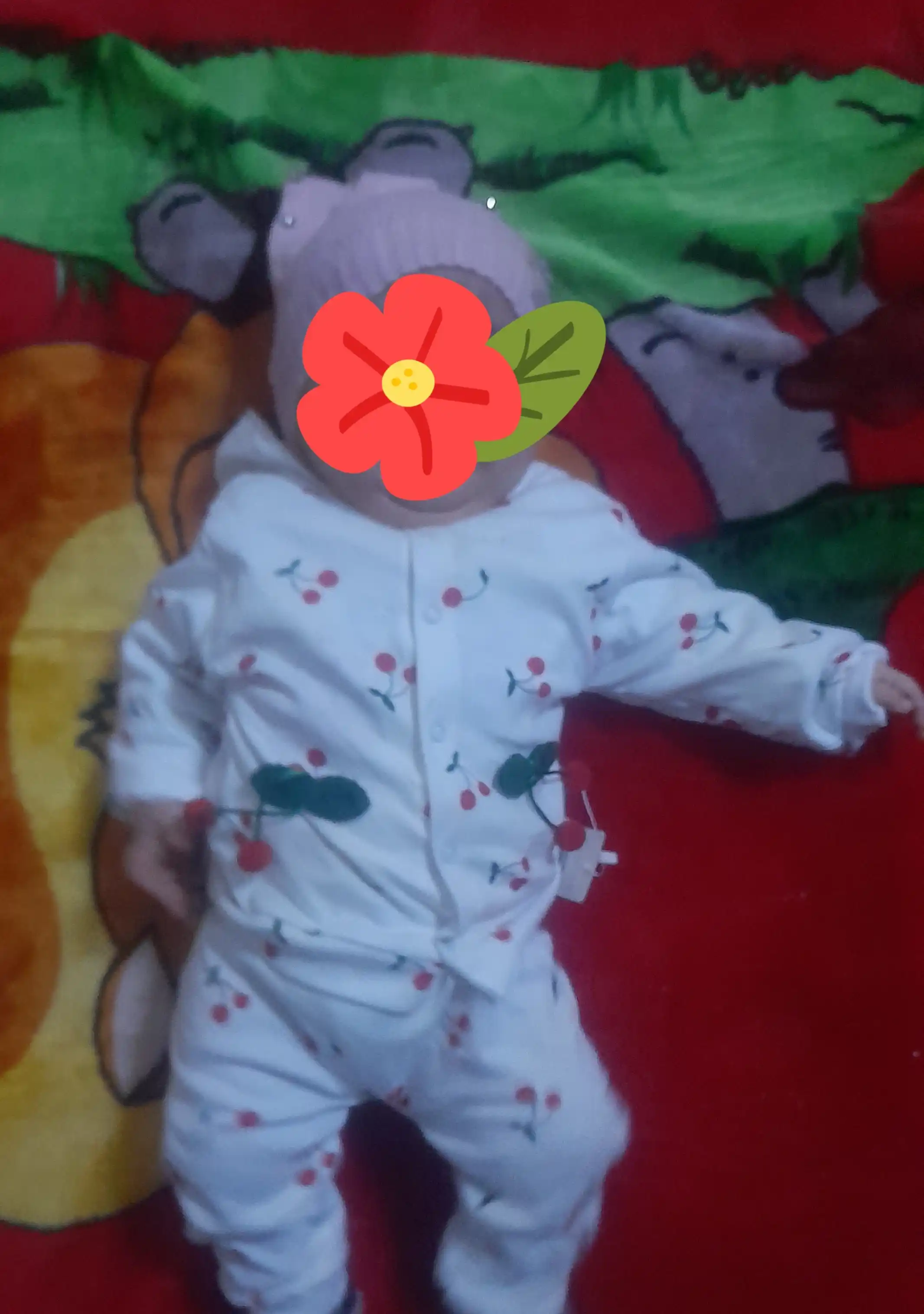 3 oydan 9 oygacha bo'lgan qizaloqlar uchun, 3 talik kiyim to'plam, olcha