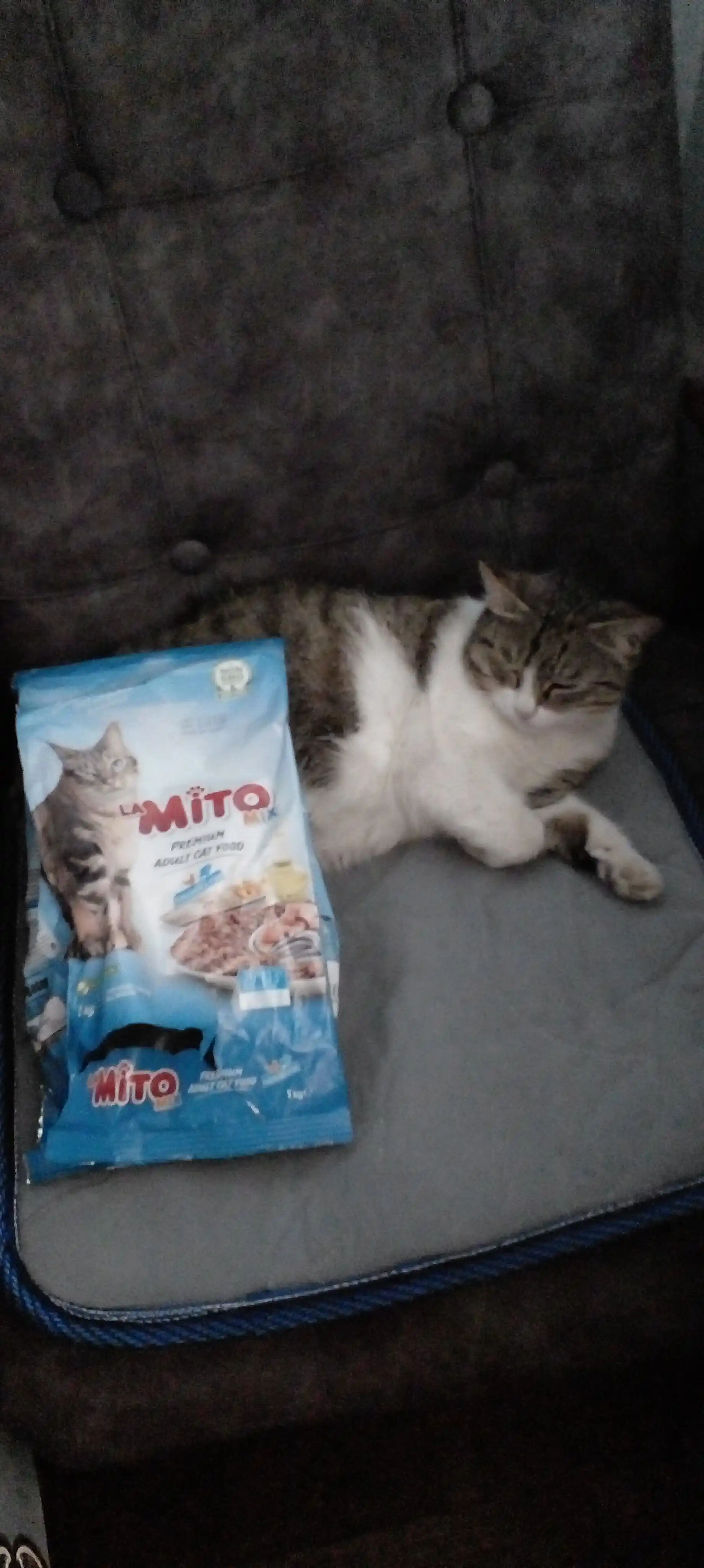 Mito Mix сухой корм для кошек 1 кг