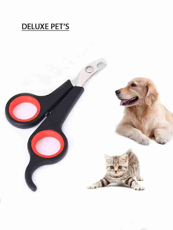 Xotinim bilan uy qurilishi guruh porno, rus