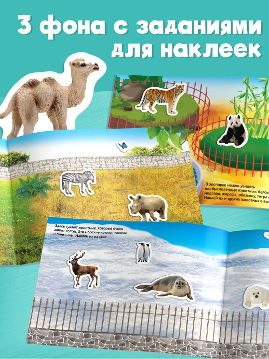 250 ta stiker, stiker albomi, bolalar uchun stikerlar, topshiriqlar, tarqatishlar
