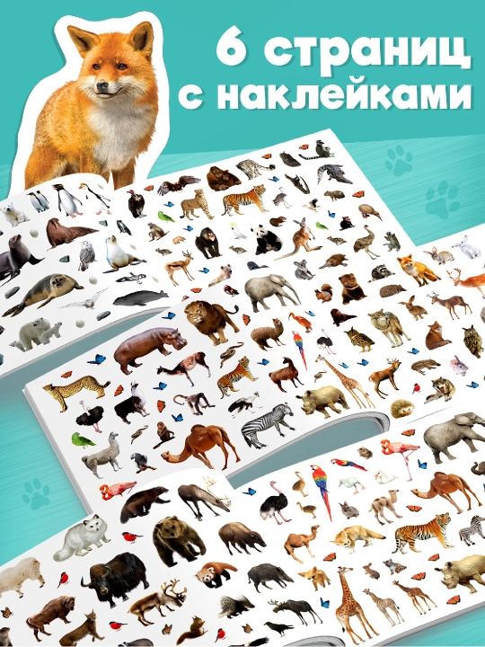 250 ta stiker, stiker albomi, bolalar uchun stikerlar, topshiriqlar, tarqatishlar
