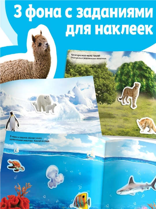 250 ta stiker, stiker albomi, bolalar uchun stikerlar, topshiriqlar, tarqatishlar