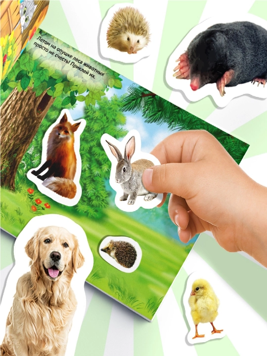 250 ta stiker, stiker albomi, bolalar uchun stikerlar, topshiriqlar, tarqatishlar