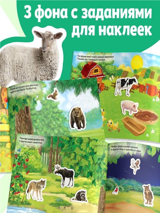 250 ta stiker, stiker albomi, bolalar uchun stikerlar, topshiriqlar, tarqatishlar