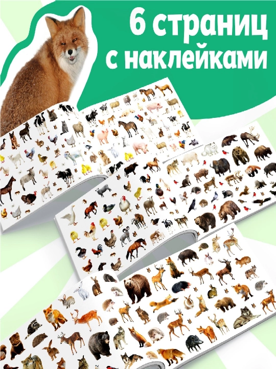 250 ta stiker, stiker albomi, bolalar uchun stikerlar, topshiriqlar, tarqatishlar