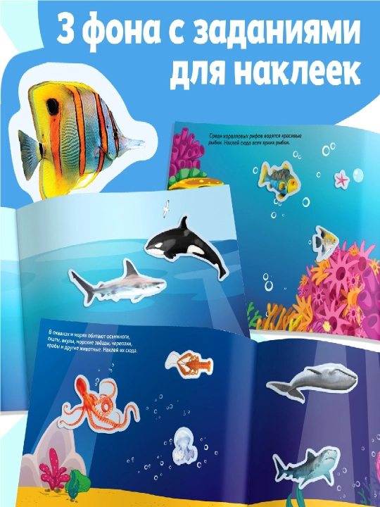 250 ta stiker, stiker albomi, bolalar uchun stikerlar, topshiriqlar, tarqatishlar