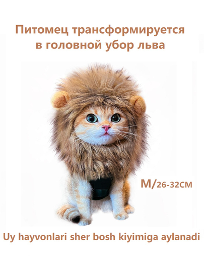 Choqintirgan ona va ona ortasidagi jinsiy aloqa video Uyda it uslubidagi dumbalar