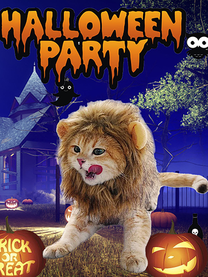 Kiyim ostidagi mushukning fotosurati