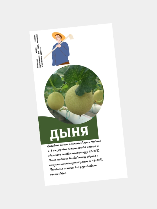 Семена дыни