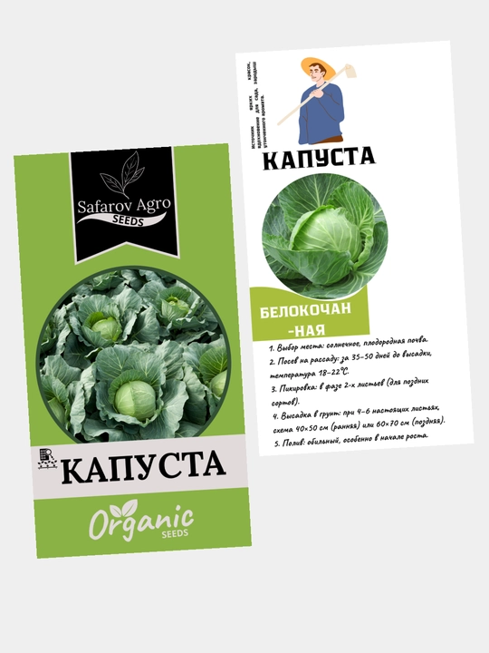Karam, Oq karam urug'lari