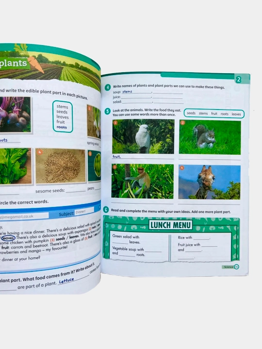 Super Minds 1, 2, 3, 4, 5, 6, Student's Book + Workbook + CD диск