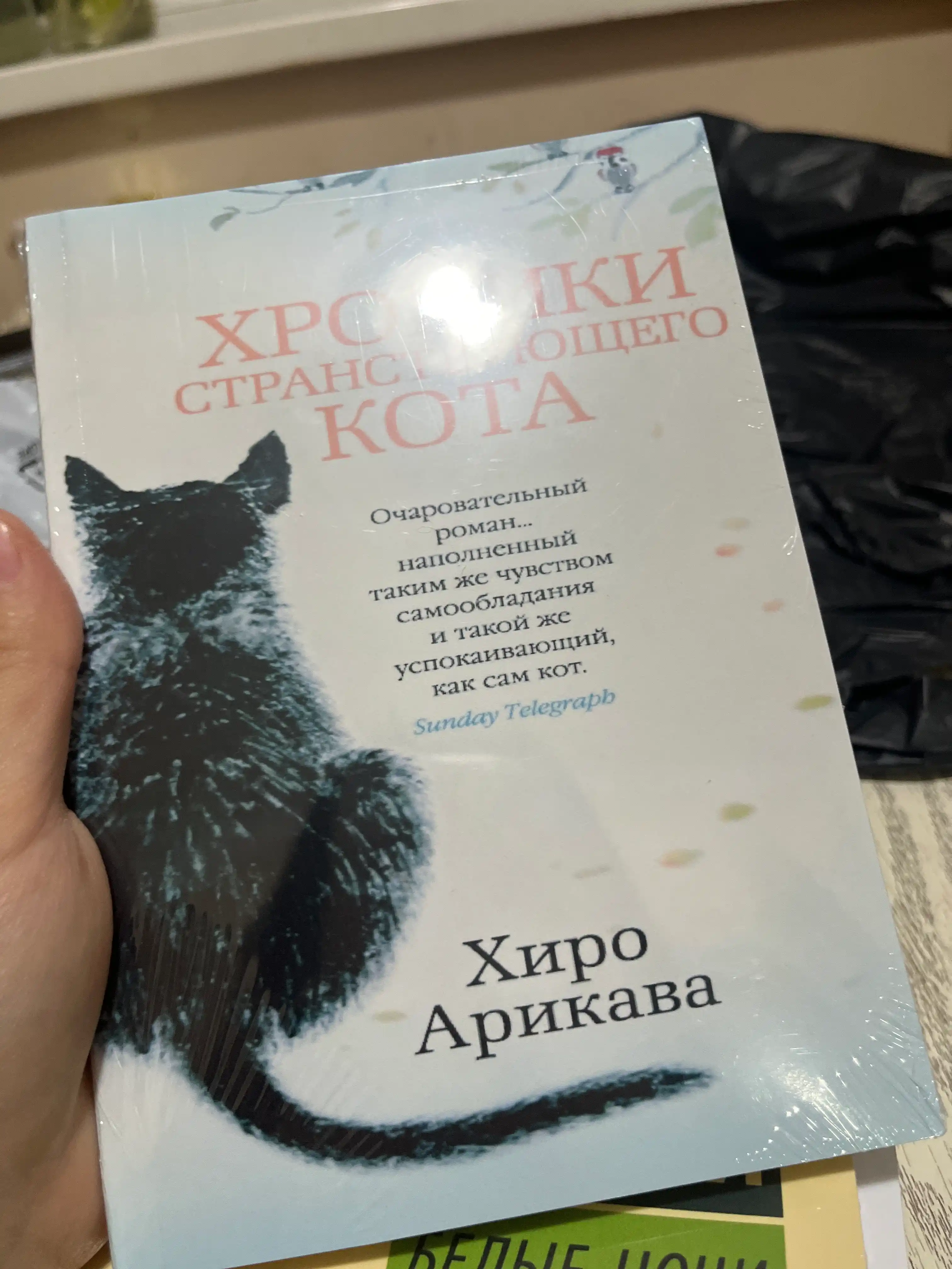 Khroniki stranstvuyushchego kota, Arikava Khiro