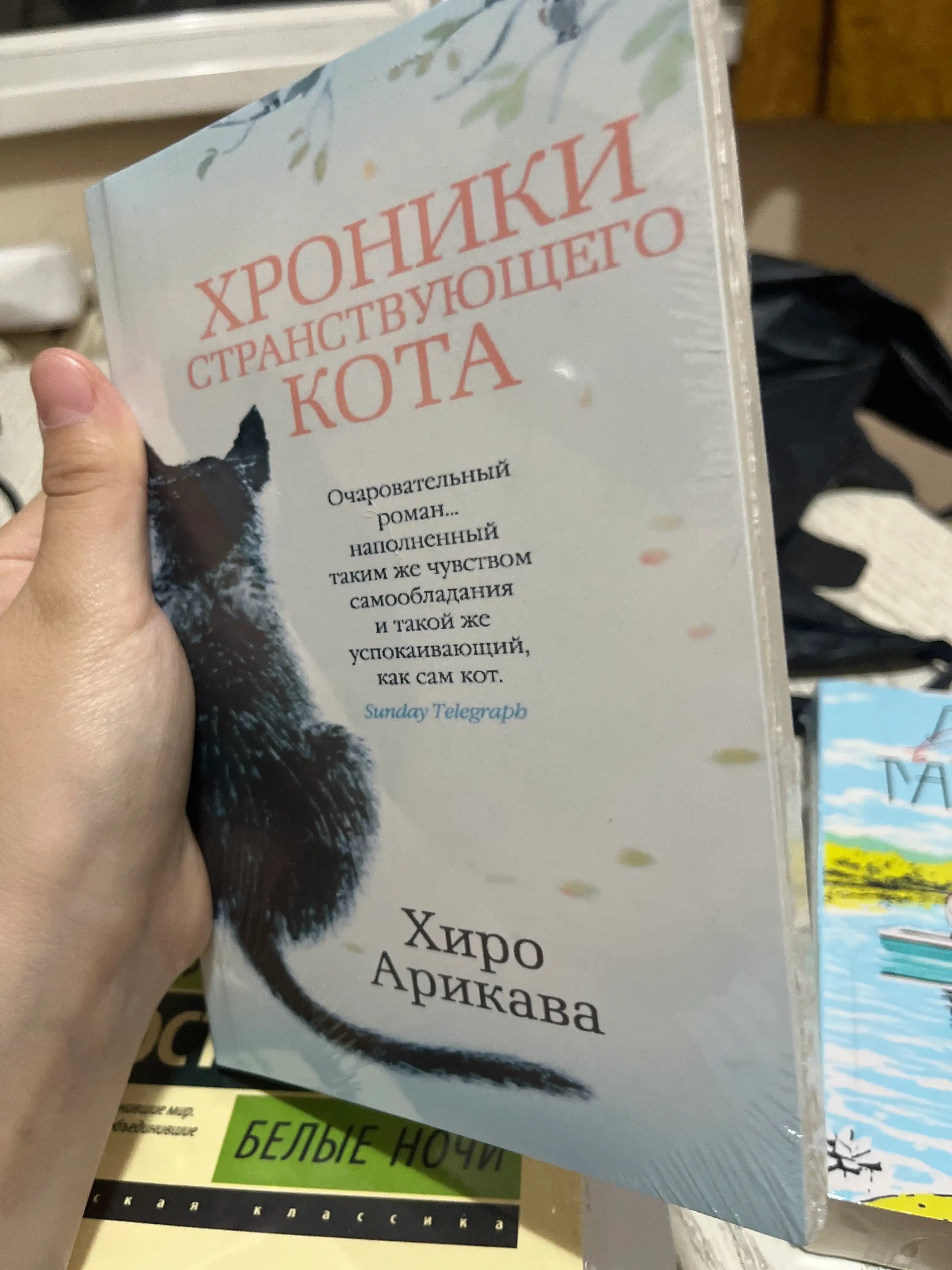 Khroniki stranstvuyushchego kota, Arikava Khiro