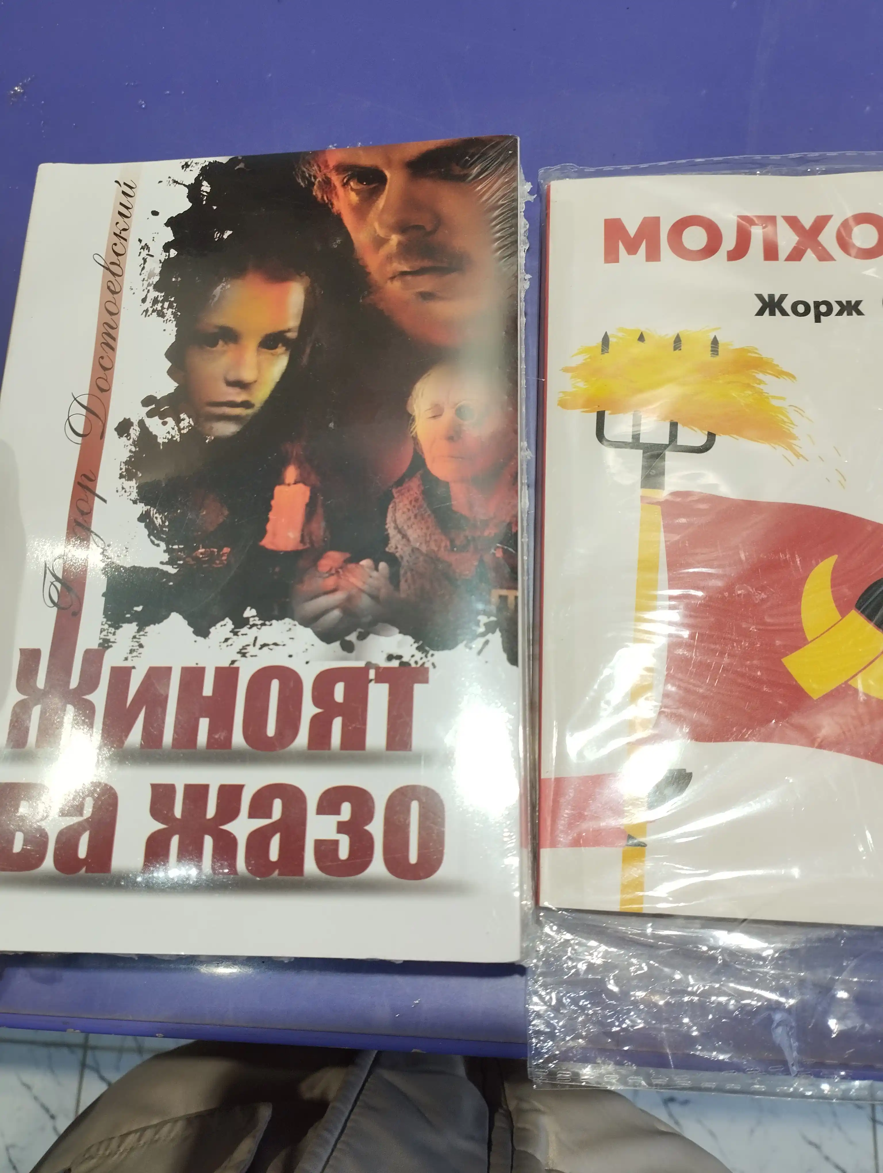Kitob, Fyodor Dostoevskiy, Jinoyat va jazo