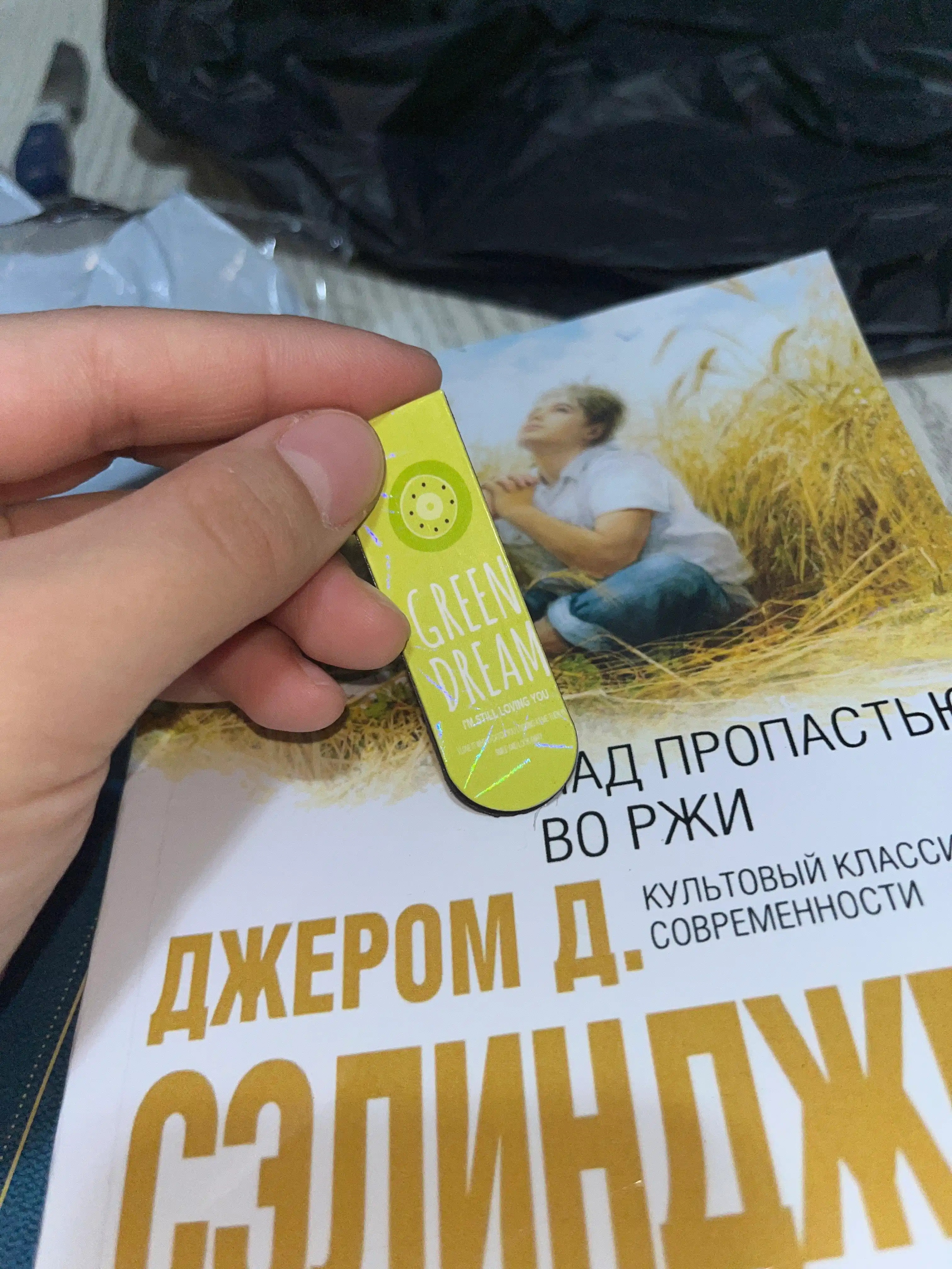 Nad propastyu vo rji, Dj. D. Selindjer
