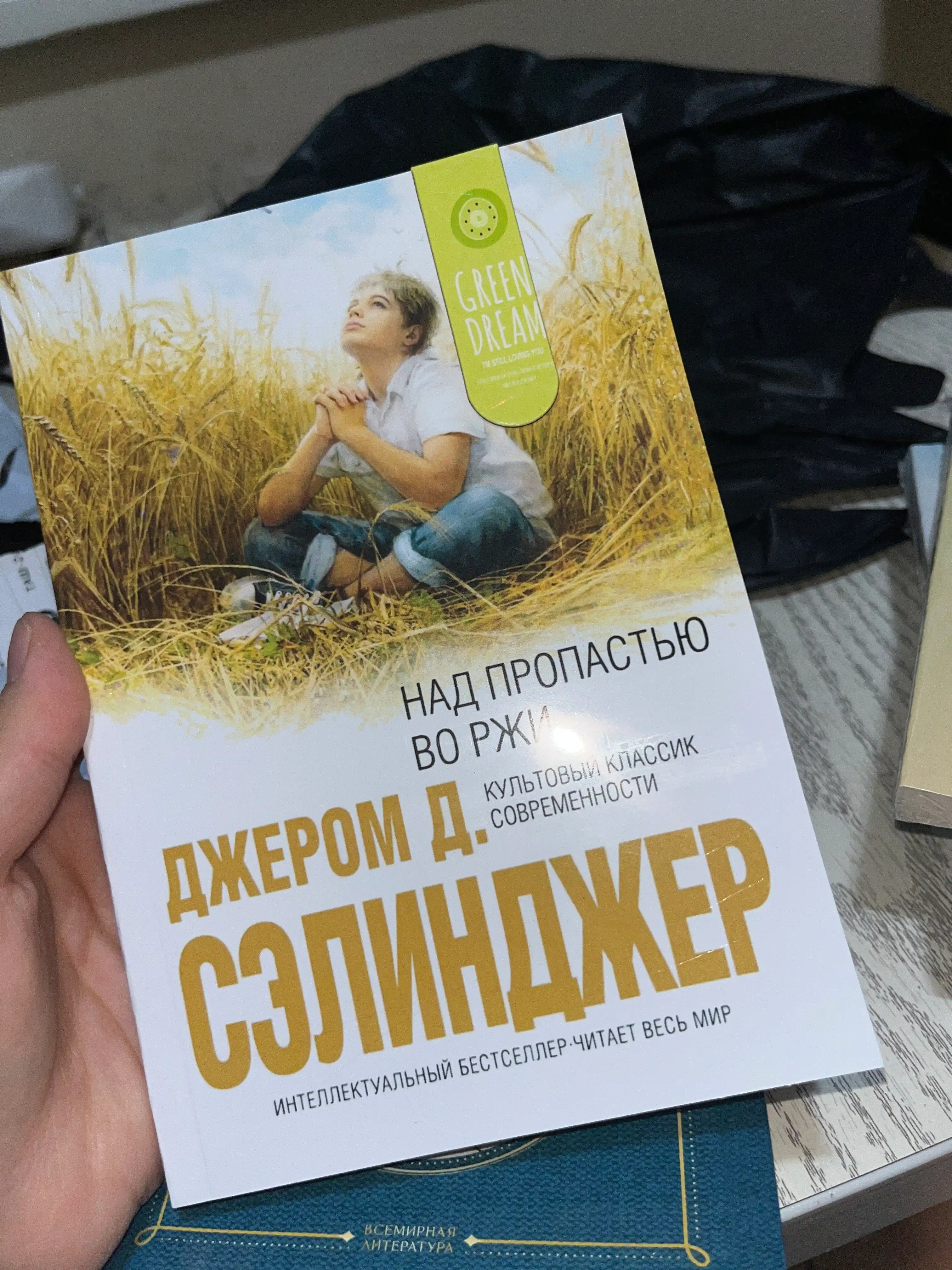 Nad propastyu vo rji, Dj. D. Selindjer