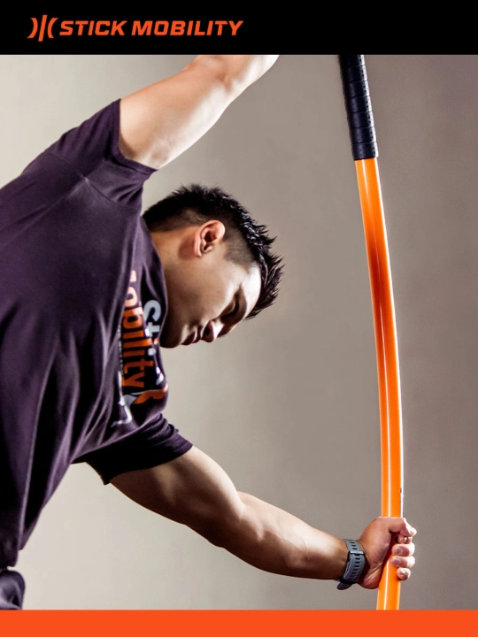 Бодибар, одинарный стик Stick mobility