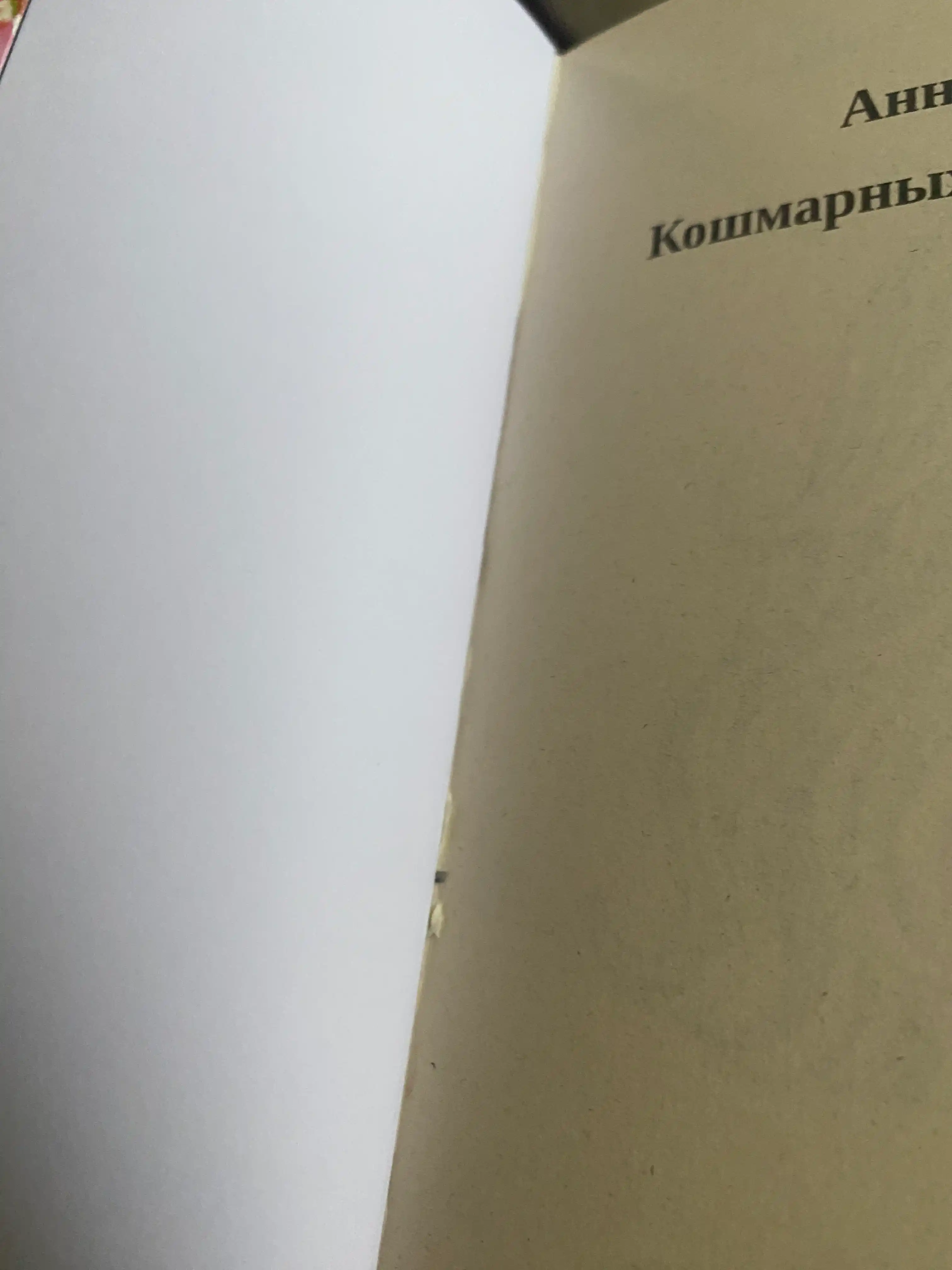 Koshmarnykh snov, lyubimaya. Anna Dzheyn