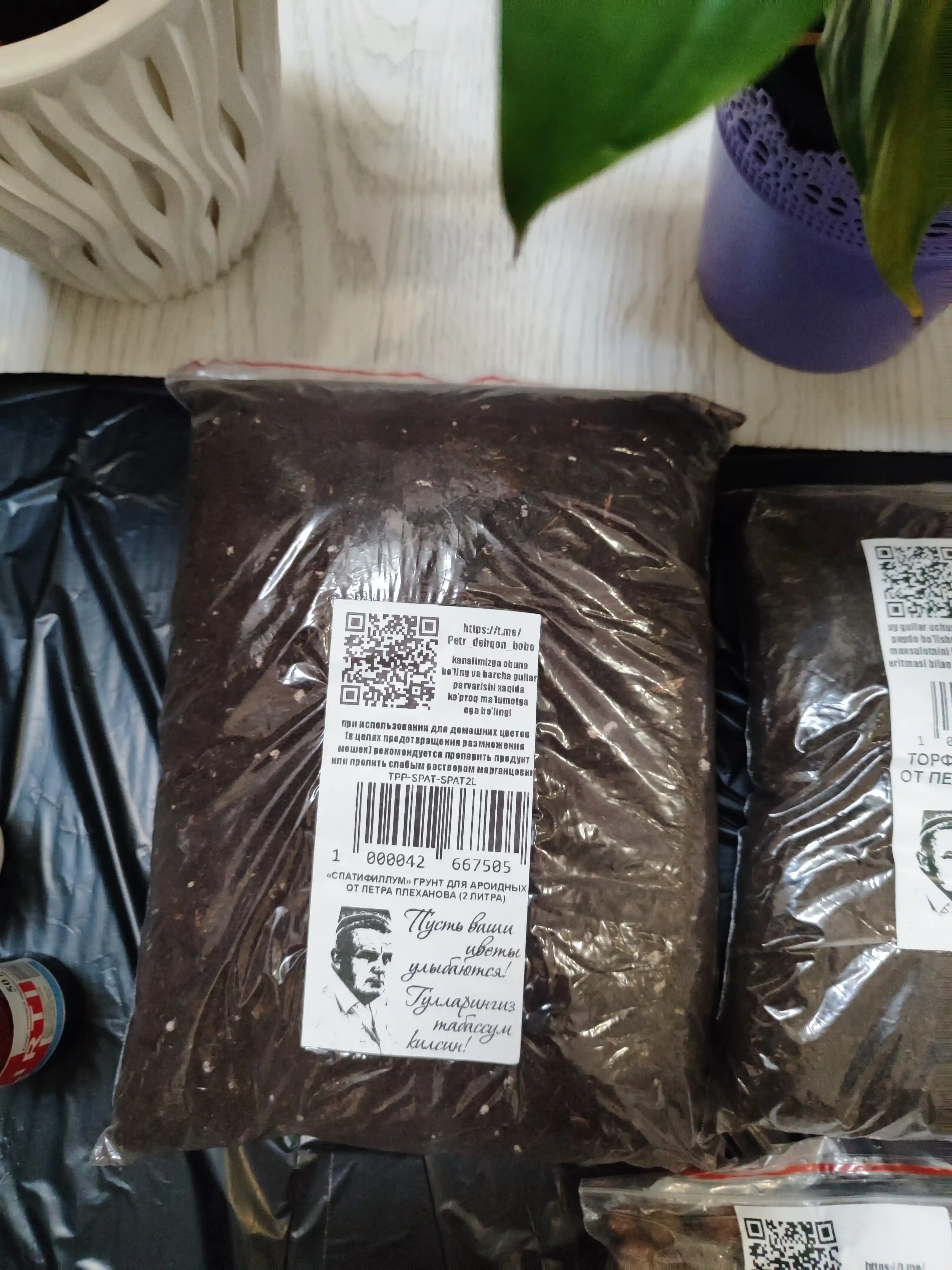 Спатифиллум - лёгкий грунт для ароидных от Петра Плеханова, аглаонема алоказия антуриум