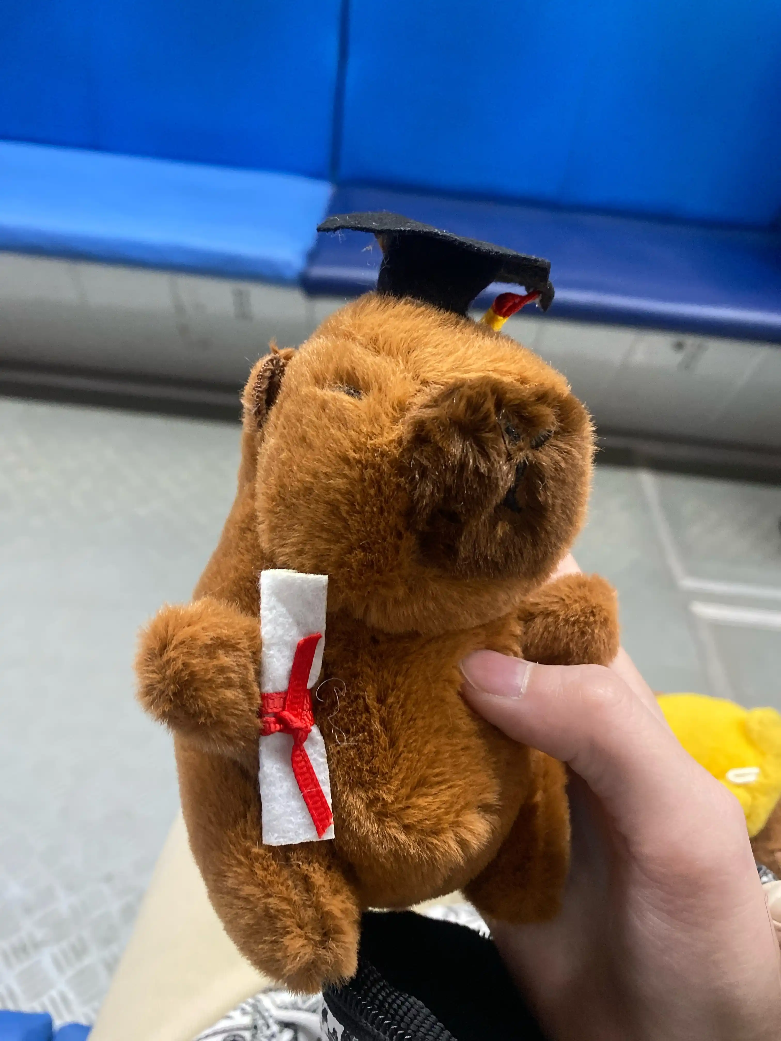 Мягкая игрушка Капибара, антистресс, для детей