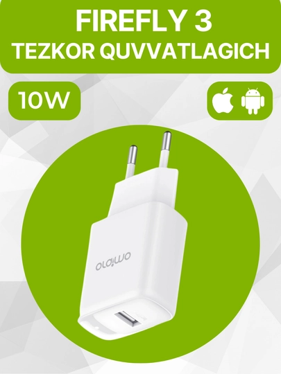 Сетевое зарядное устройство Oraimo Firefly 3, с выходной мощностью 10 Вт и кабелем Type-C