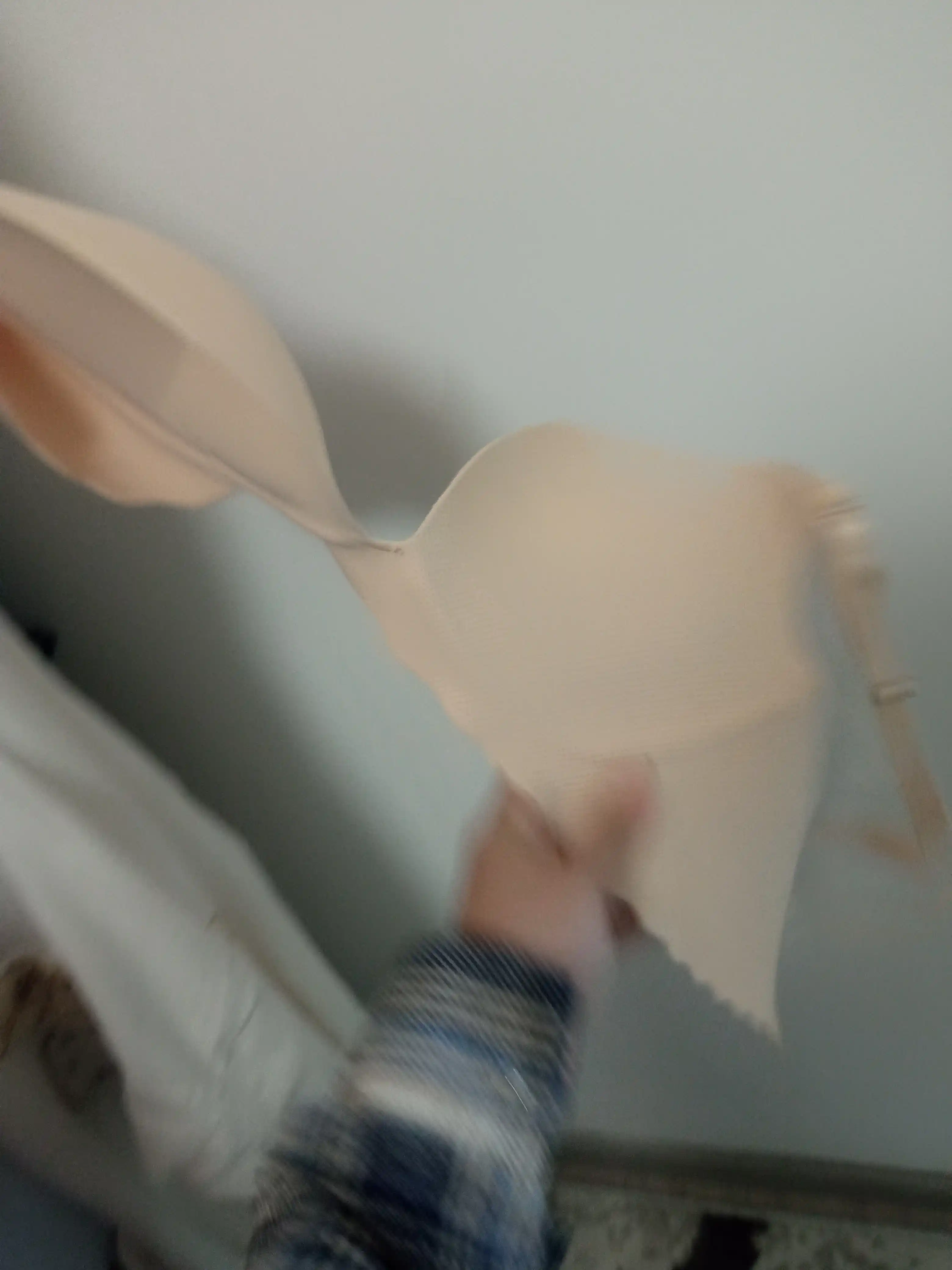 Ayollar byustgalteri Kioko, ichki kiyimlar ayollar, lifchik push up