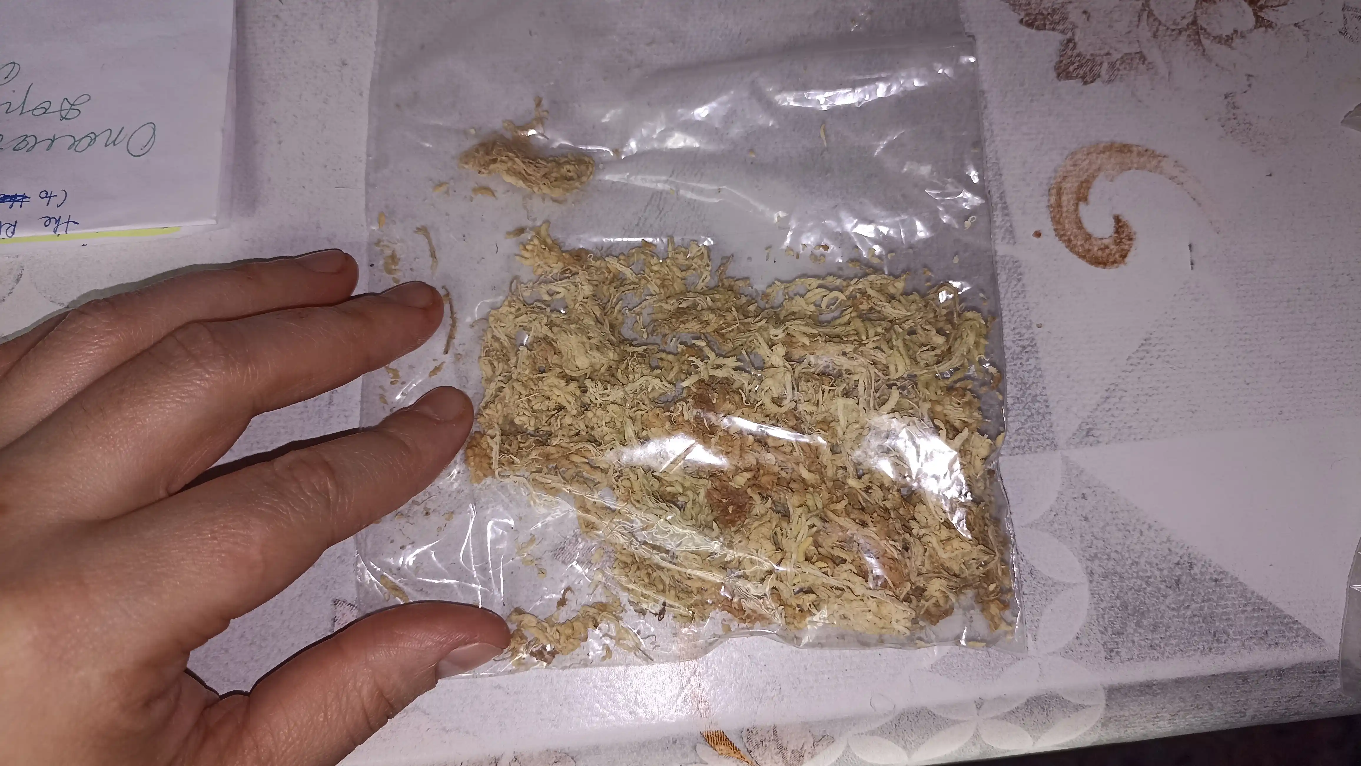Прессованный мох сфагнум Spagmos от Плеханова для орхидей, тропических и других растений