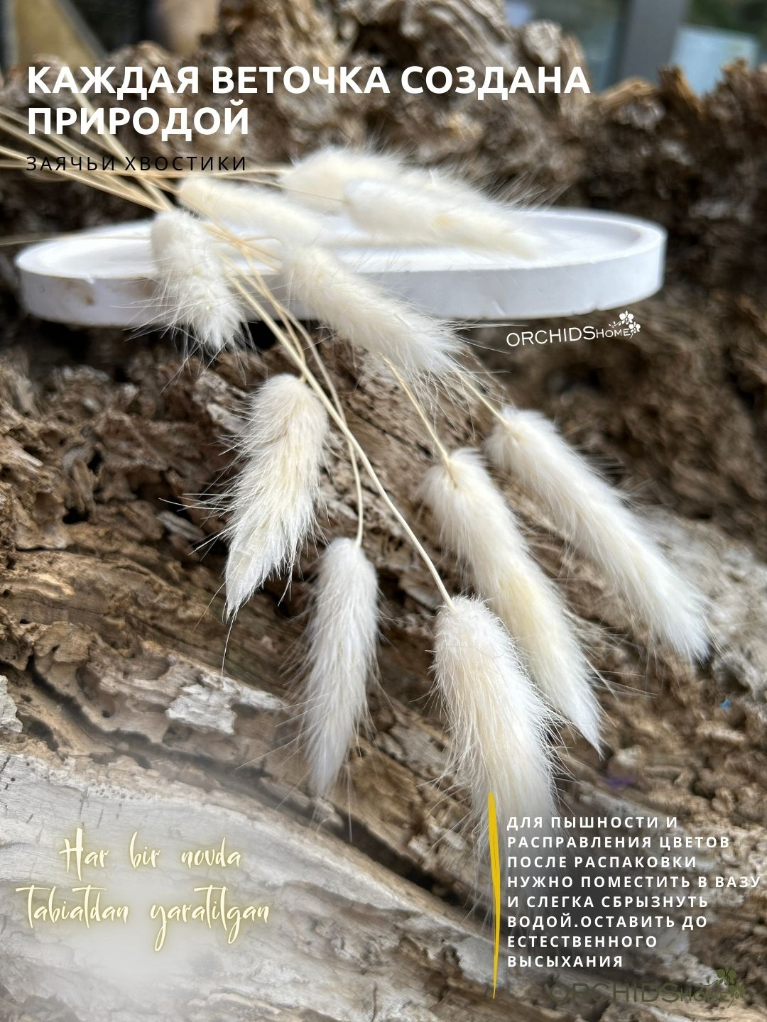 Olomon hojatxonada sikishmoqda