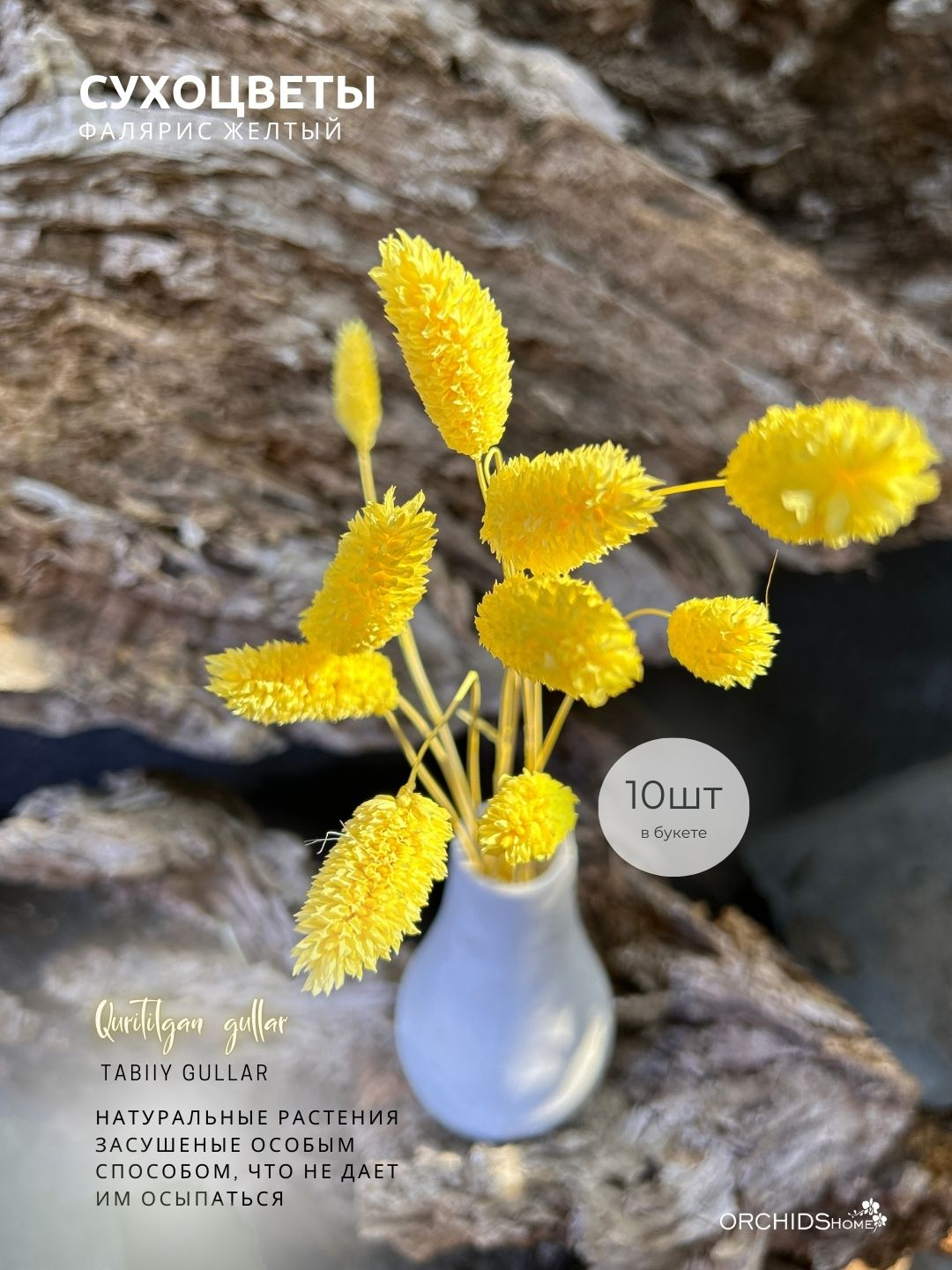 Sariq va sikli fotosurat Sariq va sikli fotosurat