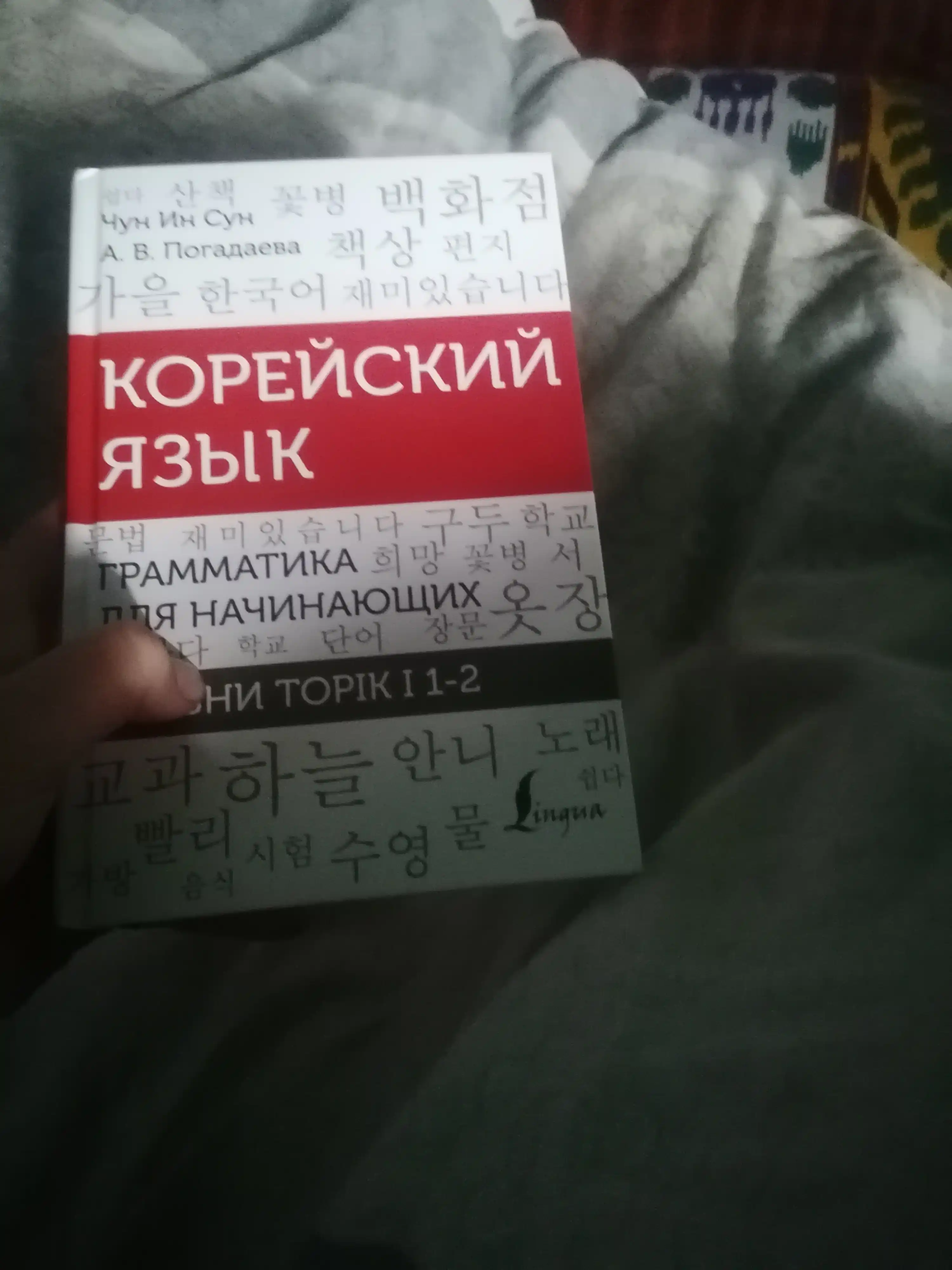 Korei`skii` iazy`k. Grammatika dlia nachinaiushchikh. Urovni TOPIK I 1-2  Chun In Sun, Pogadaeva.A.V