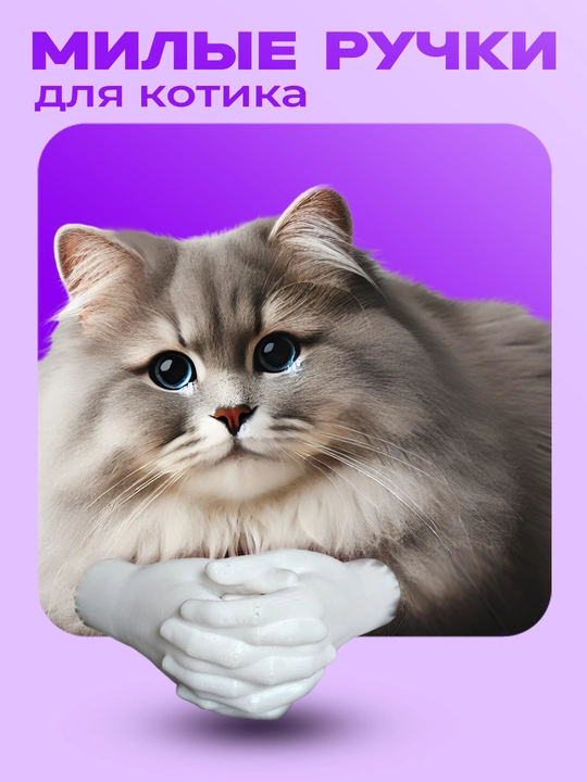 Милые руки для котика - 