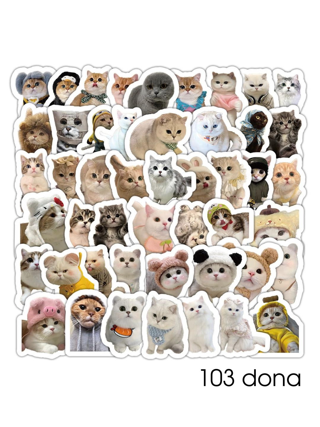 Bir teshikda uchta xoroz bilan porno