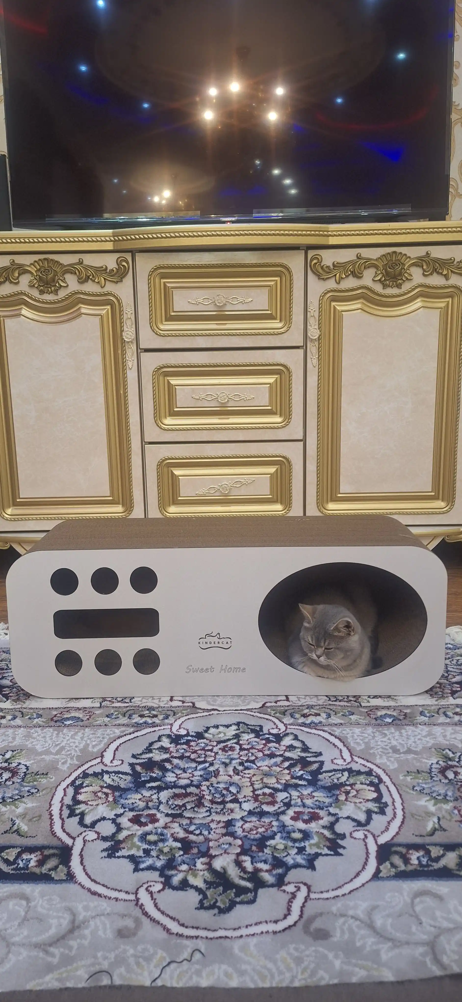 Mushuklar va mushukchalar uchun 3x1 karton tirnoqcha, Home KinderCat