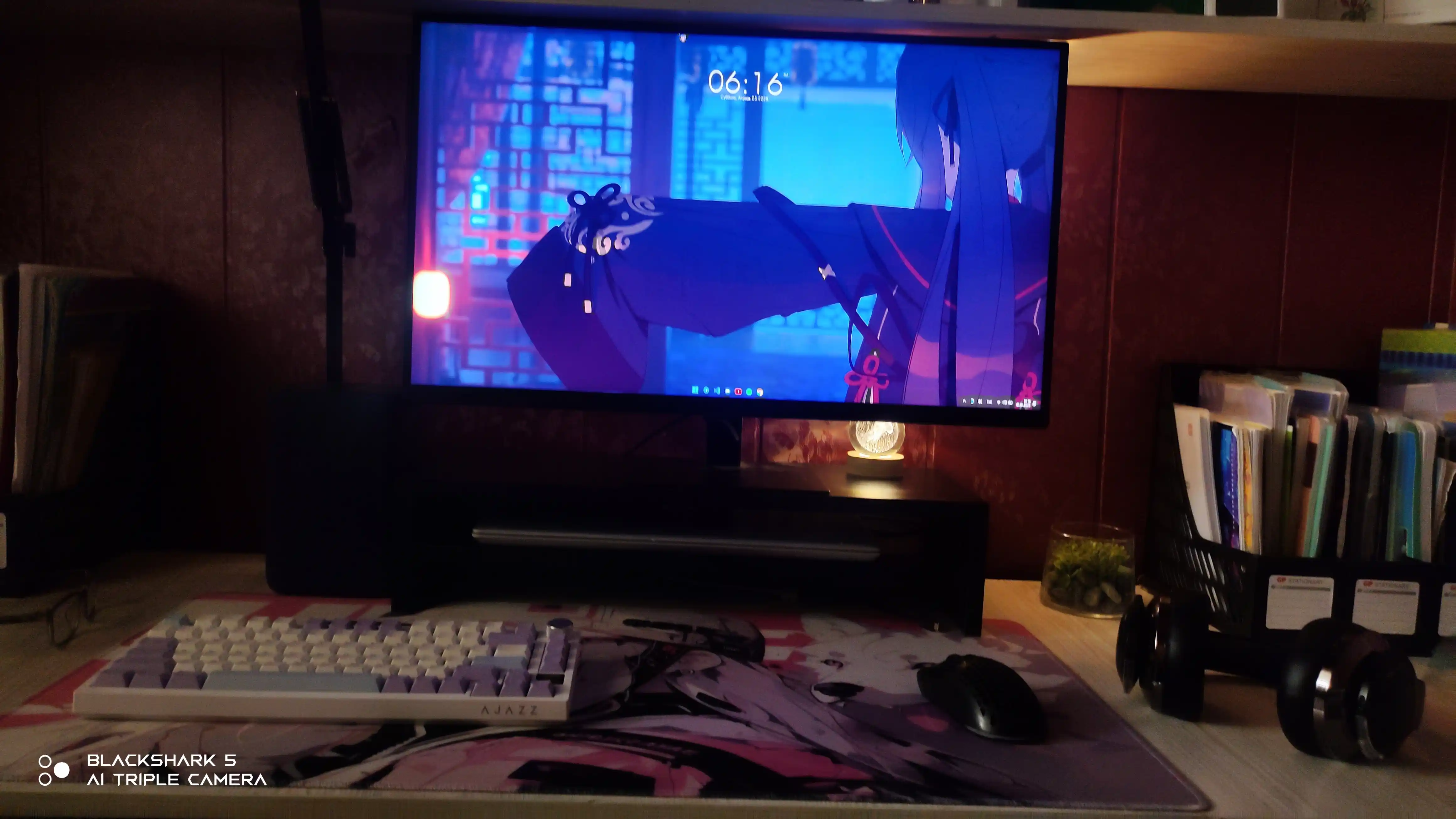 Monitor tagligi