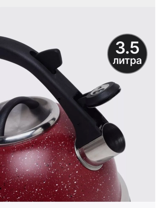 Чайник Zepter ZP-1250, для всех типов плит, со свистком, 3,5 литра
